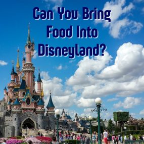 can you bring food into disneyland